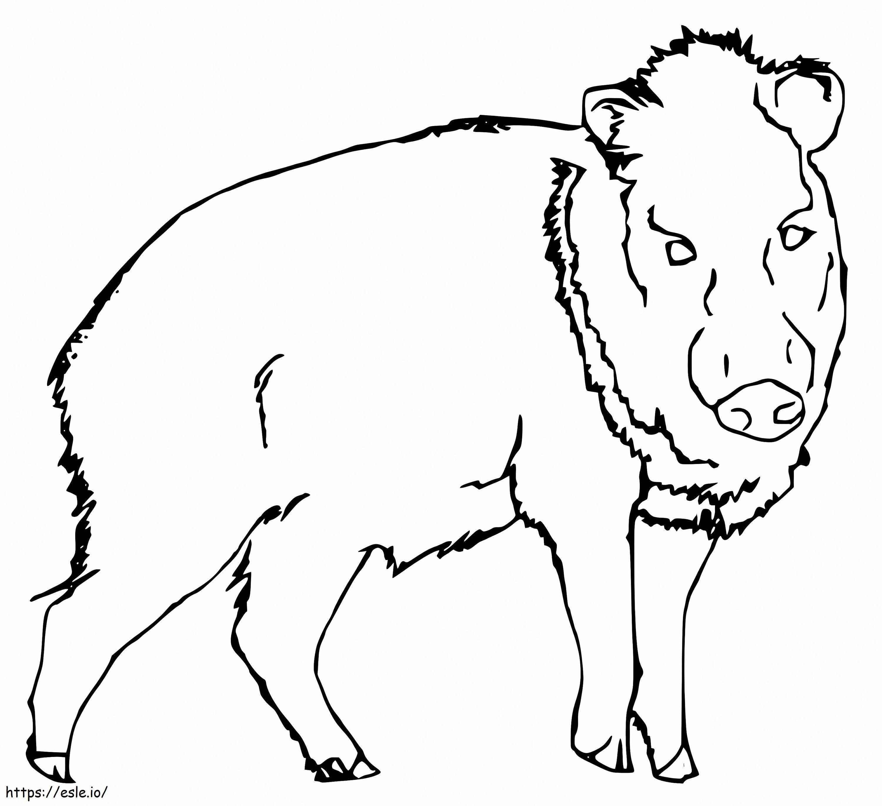 Free Printable Peccary coloring page
