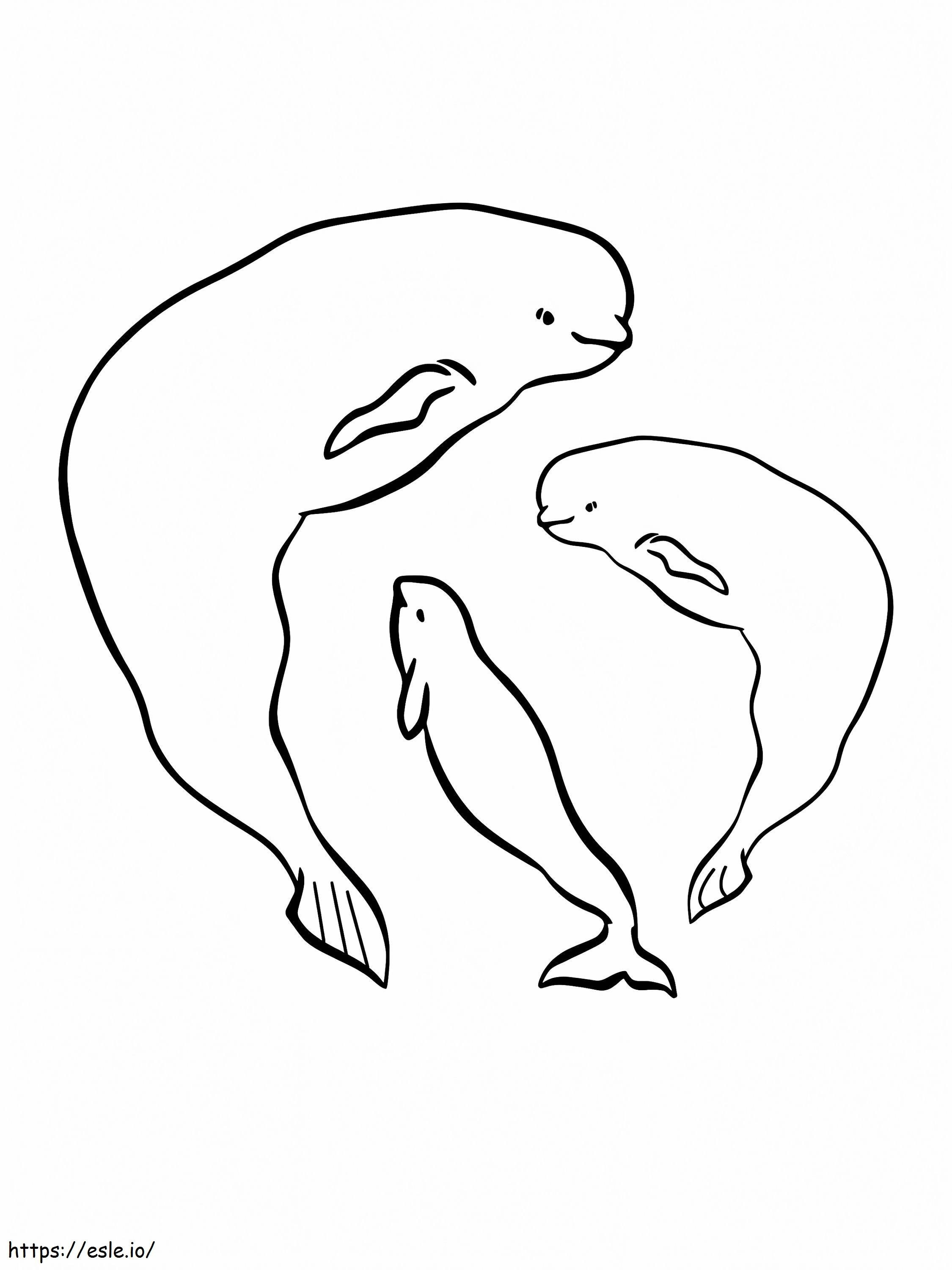 シロイルカと海のカナリア 北極の動物 ぬりえ - 塗り絵