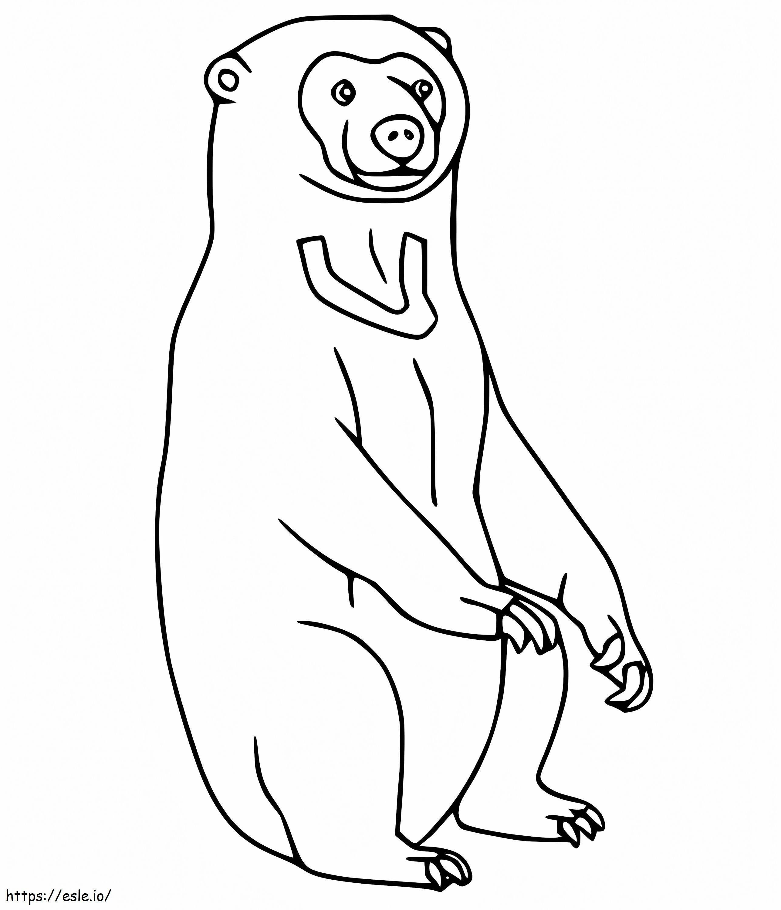 Beruang Madu yang Luar Biasa Gambar Mewarnai