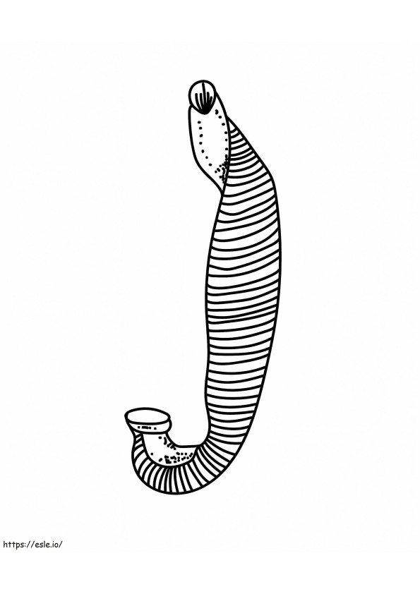 Medical Leech coloring page