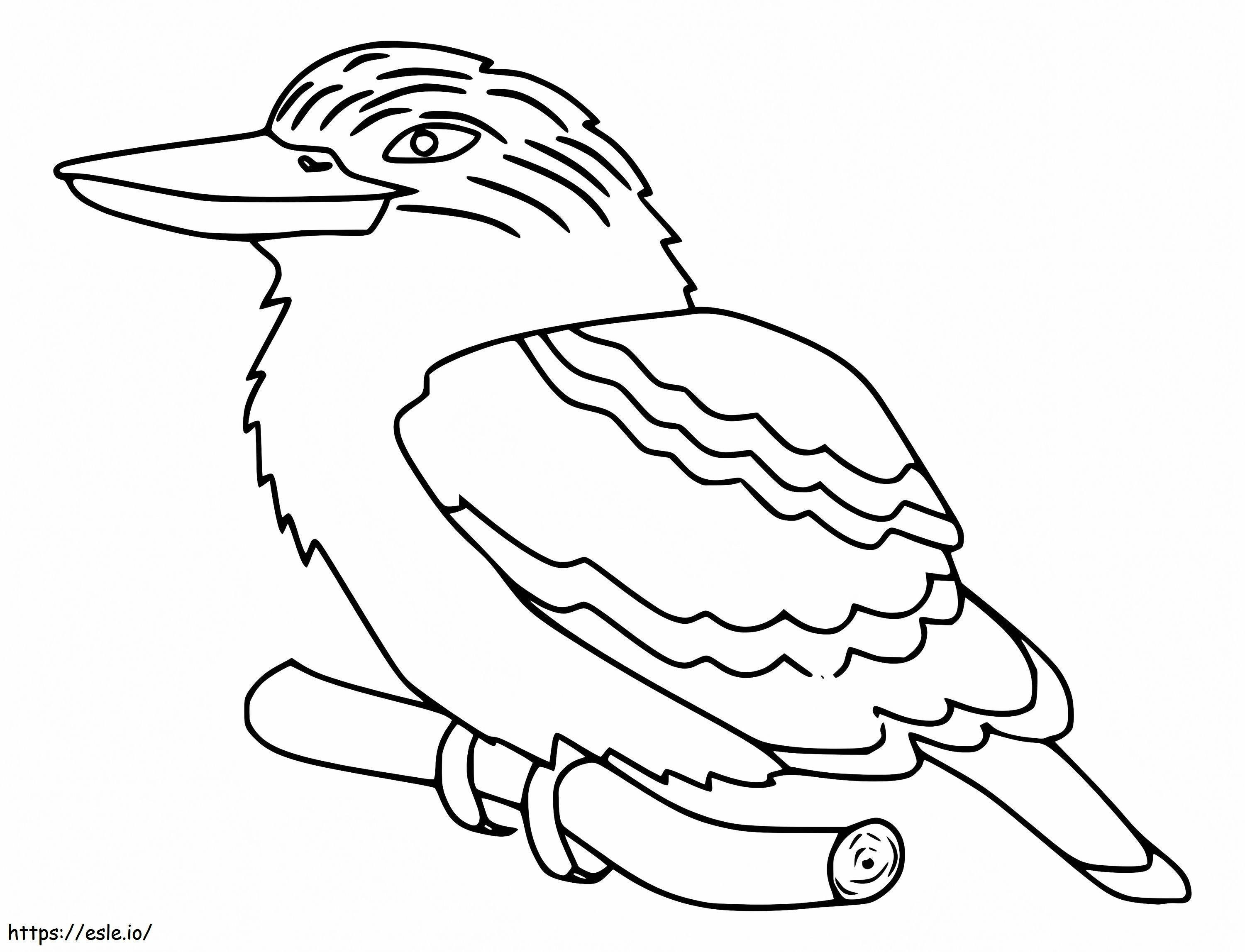 Coloriage Kookaburra imprimable gratuitement à imprimer dessin