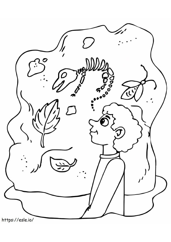 Dinosaurs Museum coloring page