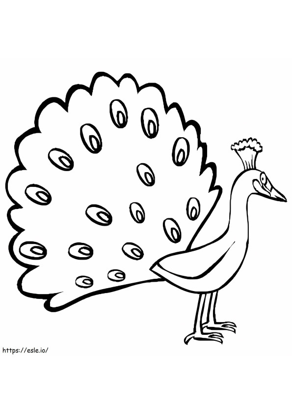 Peacock Children