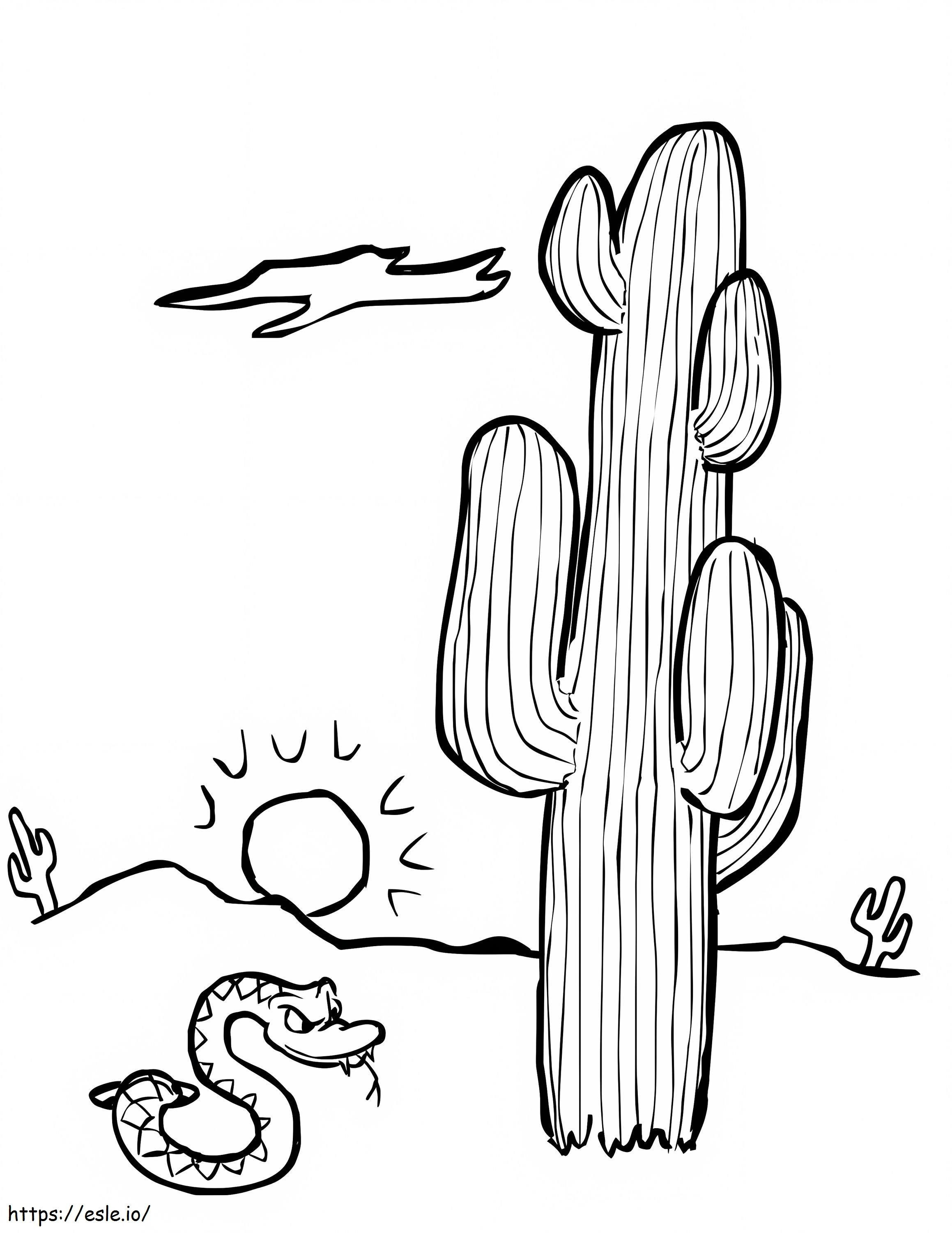 Cactus E Serpente da colorare