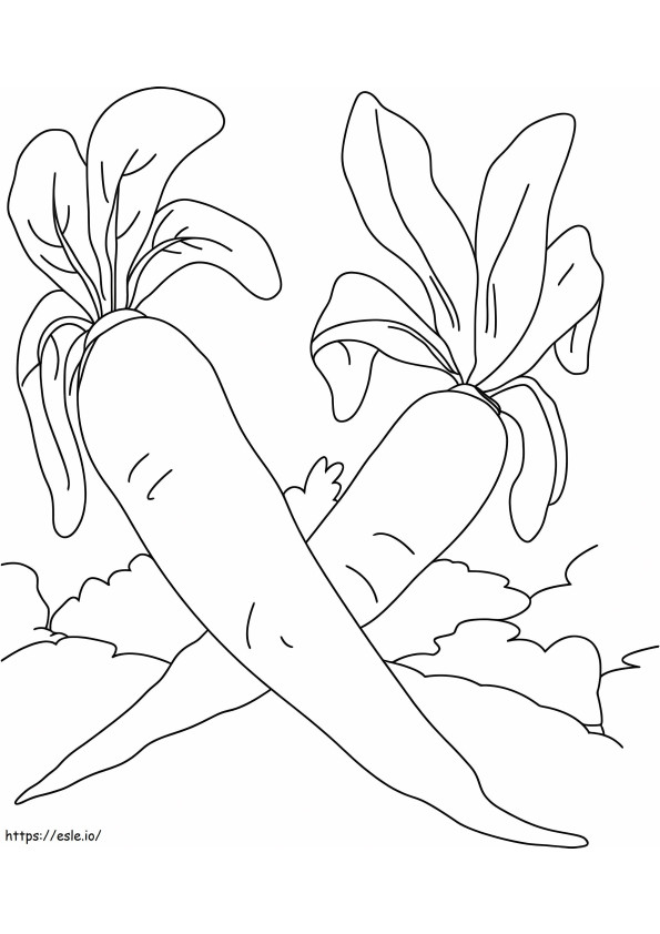 Two Radishes coloring page