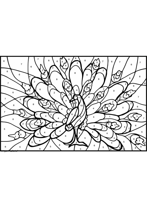 Peacock Color By Number coloring page