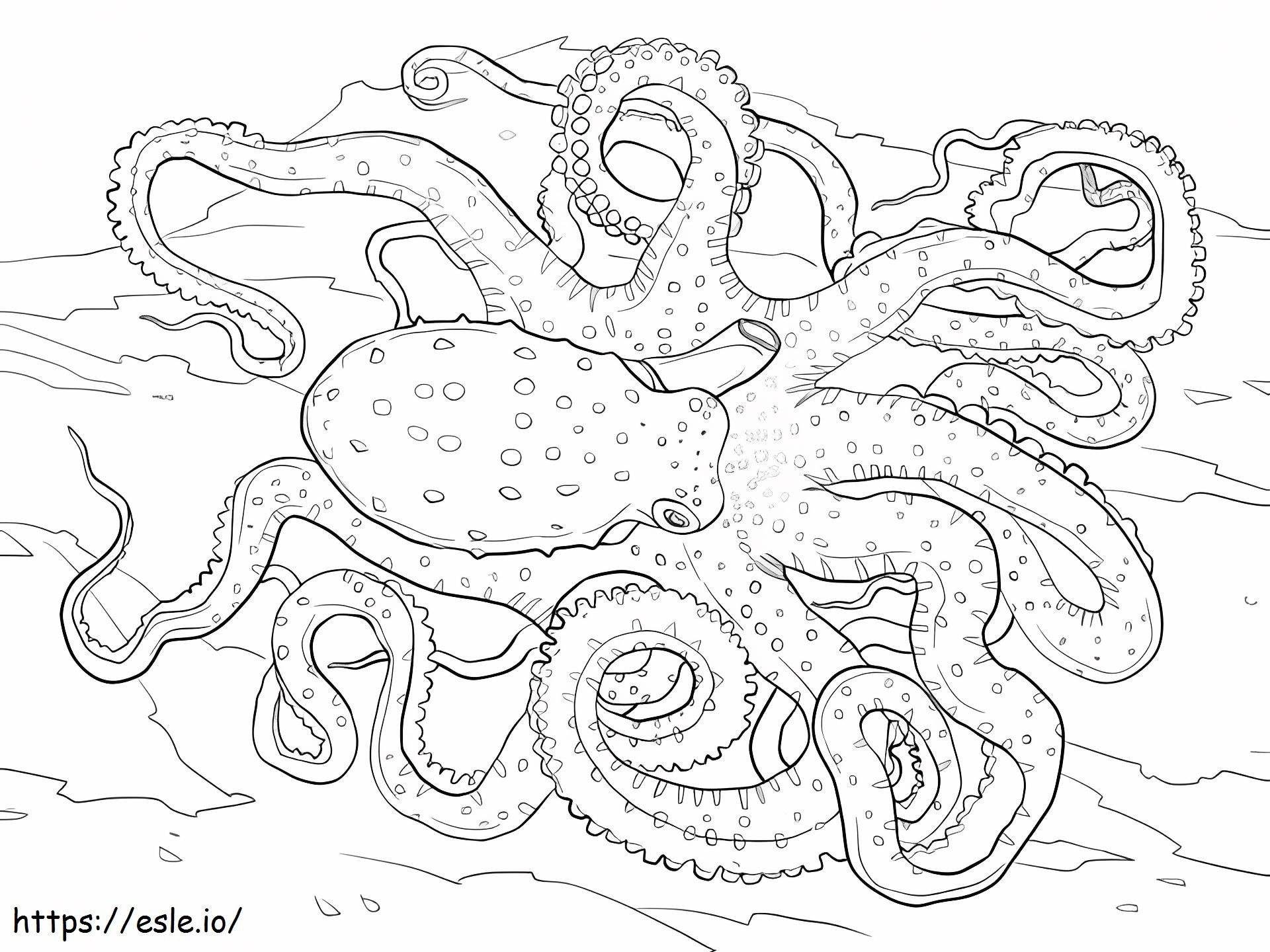 1559548494 Octopus A4 värityskuva
