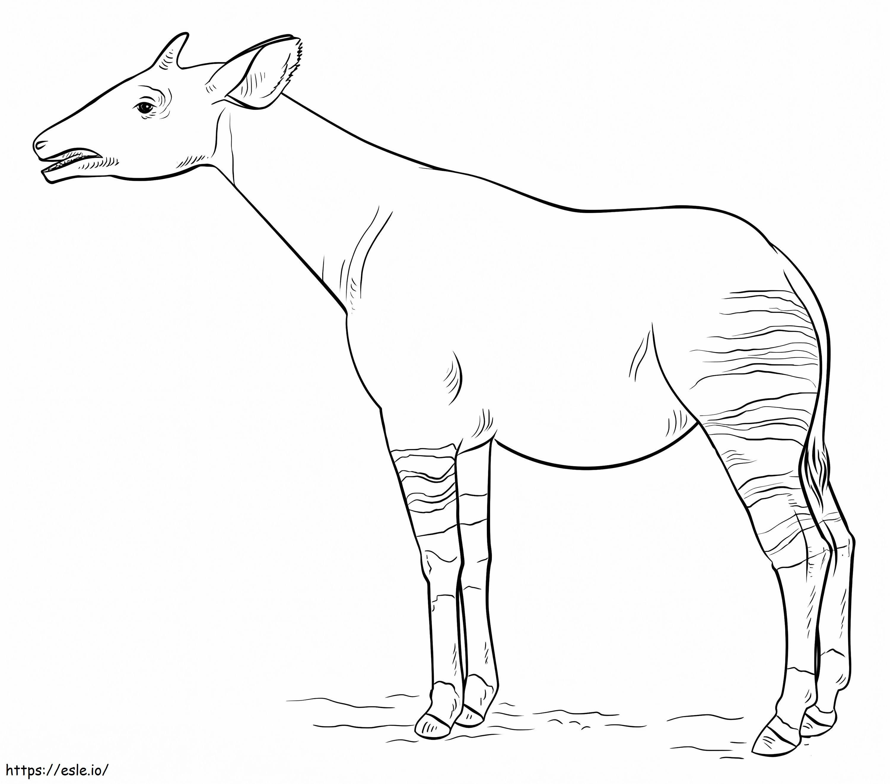 Okapi normale da colorare