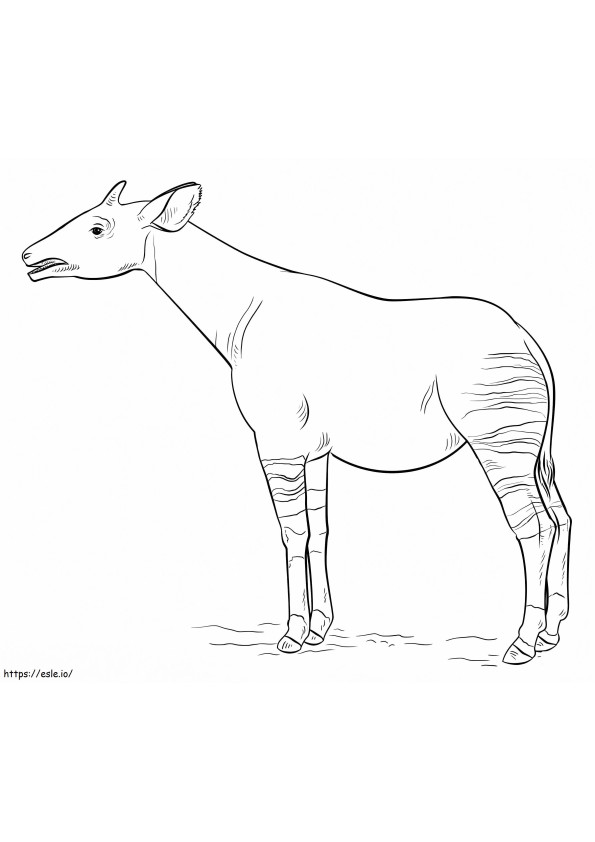 Normal Okapi boyama