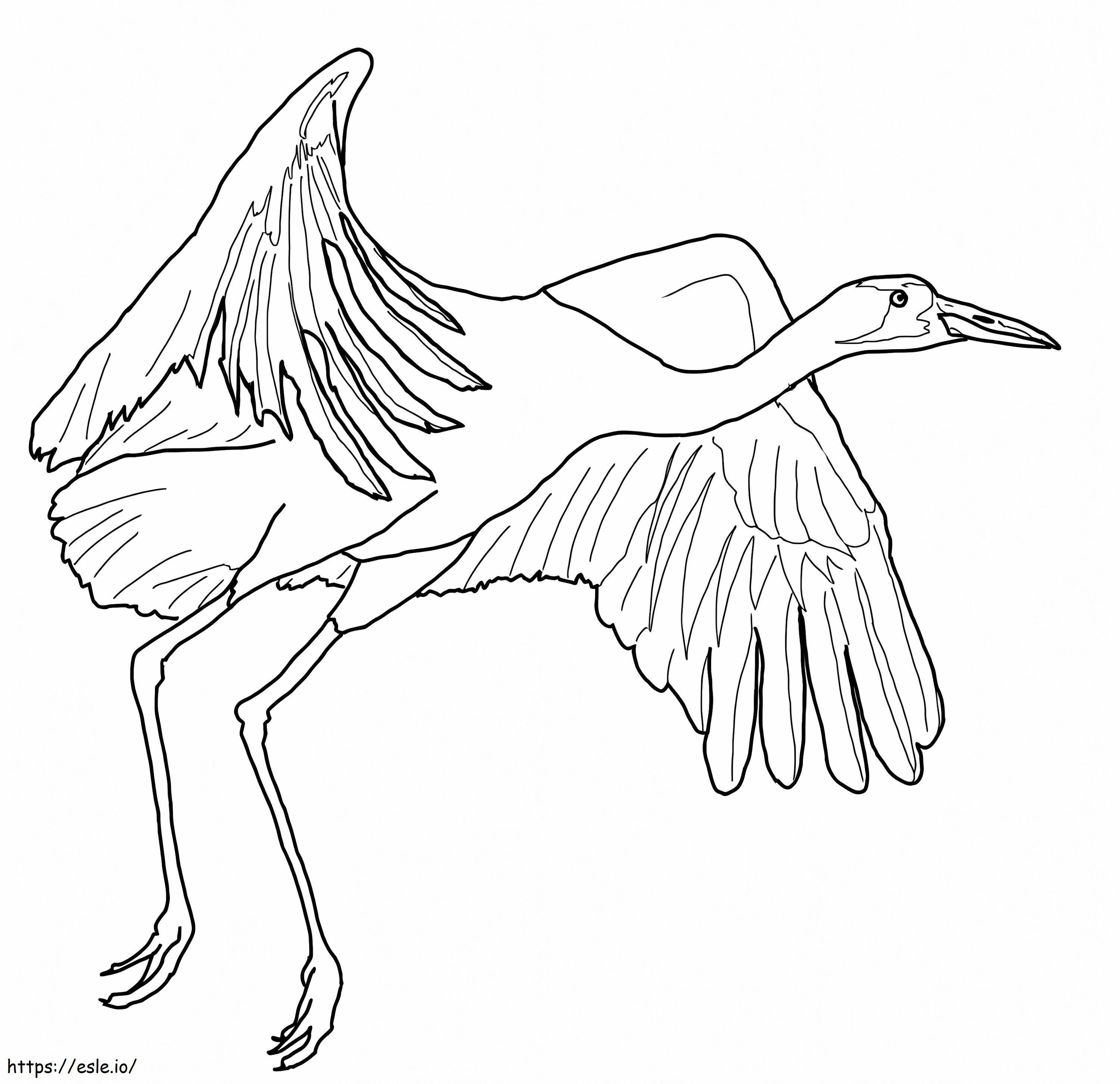 Whooping Crane 1 coloring page