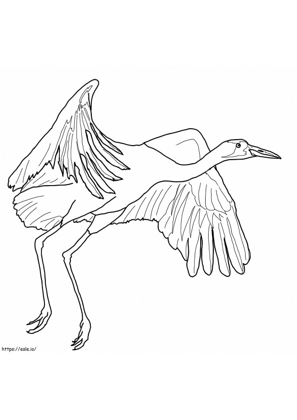 Whooping Crane 1 coloring page