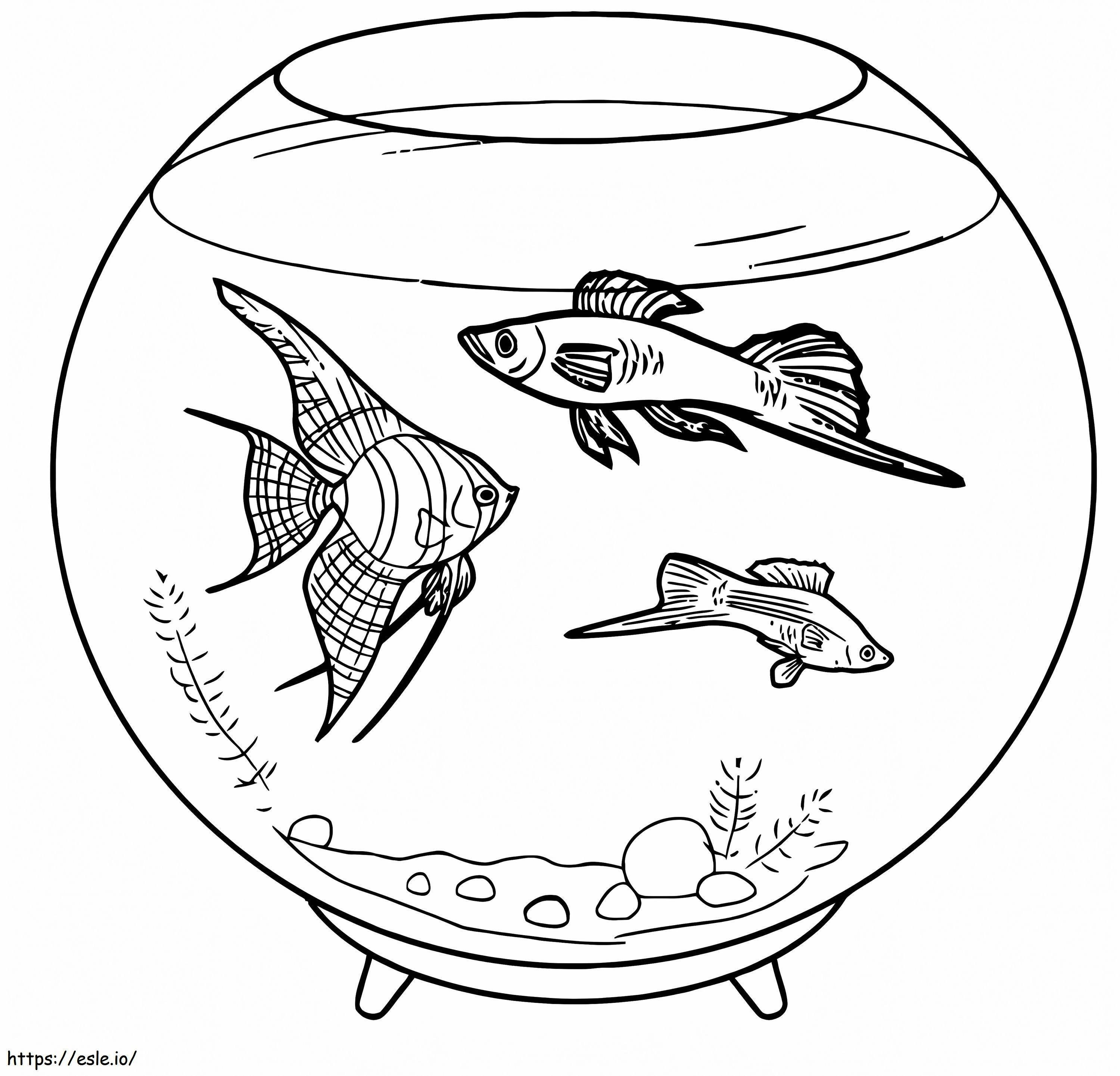 Fish Tank coloring page