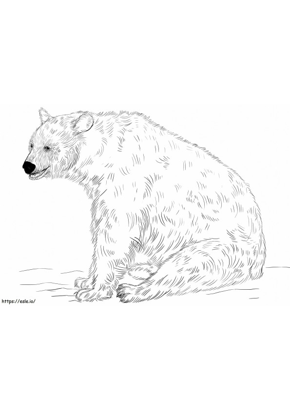 Musta karhu istuu värityskuva