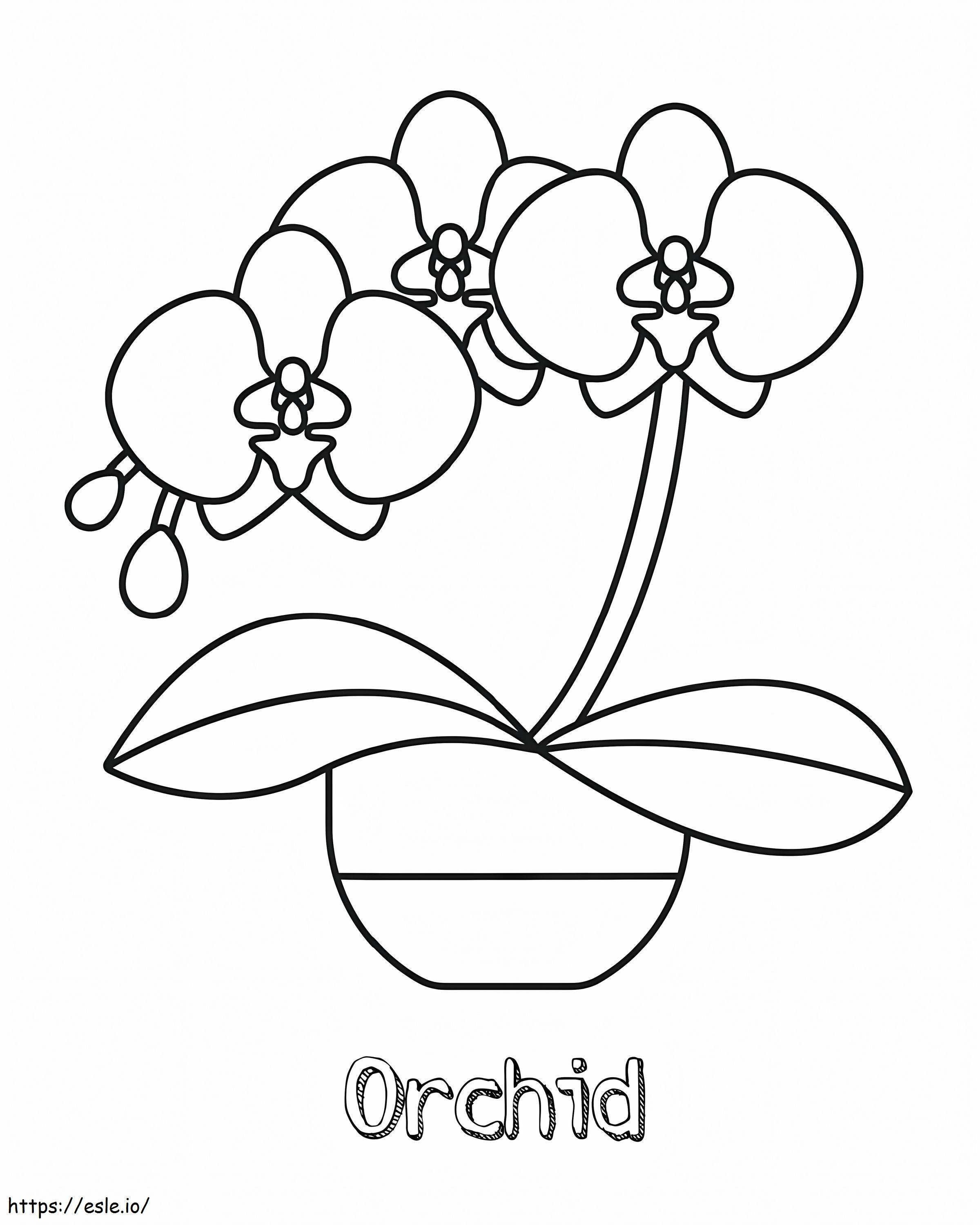 Orchideebloem gratis kleurplaat kleurplaat
