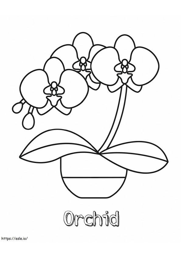 Flor de orquídea grátis para colorir