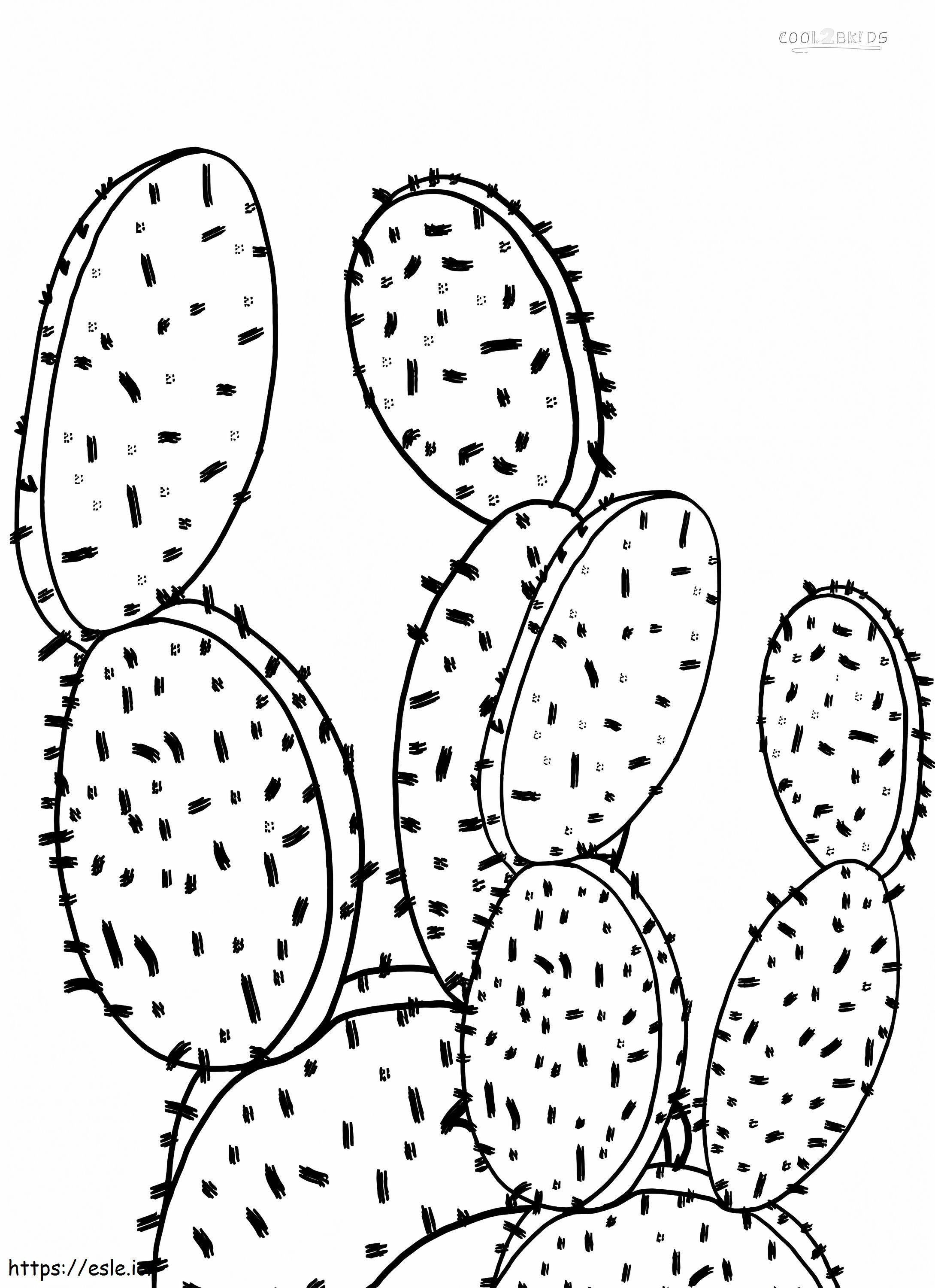 1539919794 Värikäs Cactus väritysarkki Tulostettavat sivut lapsille Cool2Bkids värityskuva