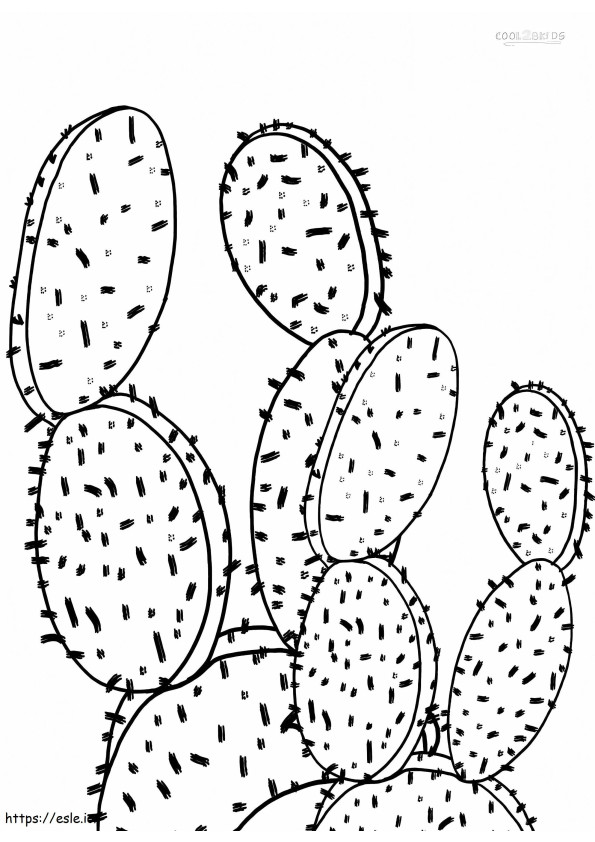 1539919794 Colorful Cactus Coloring Sheet Printable Pages For Kids Cool2Bkids coloring page