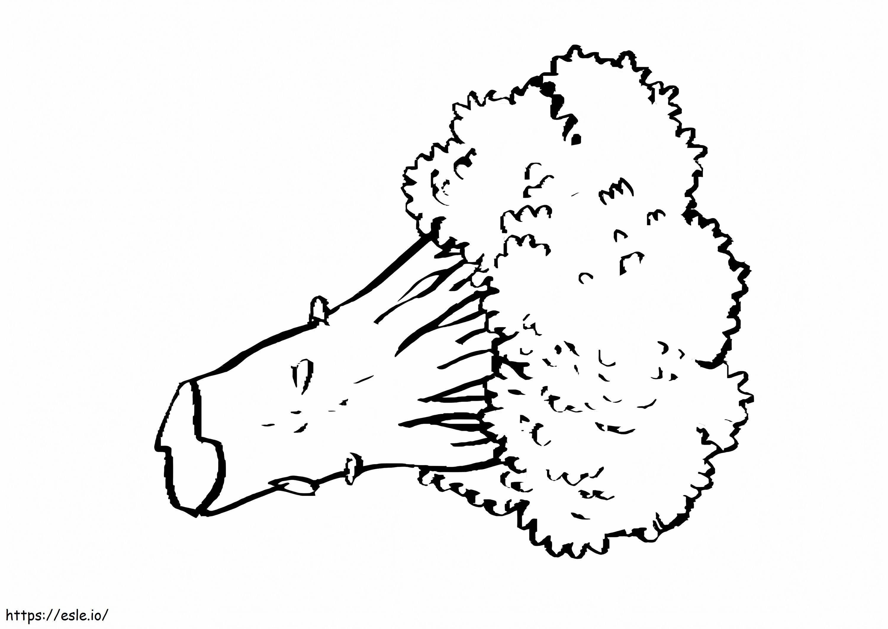 Broccoli To Print coloring page