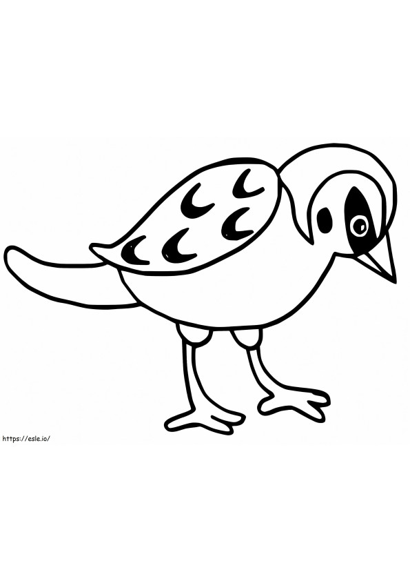 Nagy Sparrow