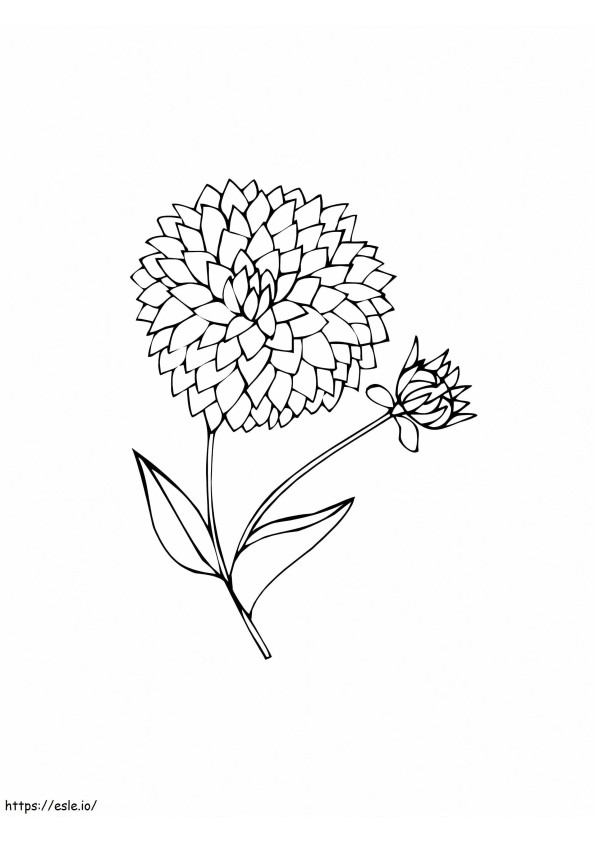 Ilmainen tulostettava Dahlia-kukka värityskuva