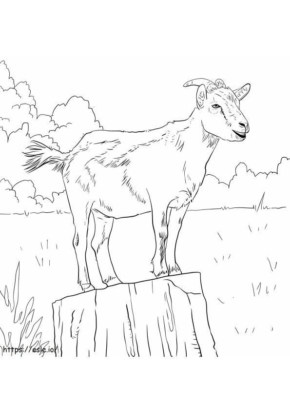 Realistic Domestic Goat coloring page