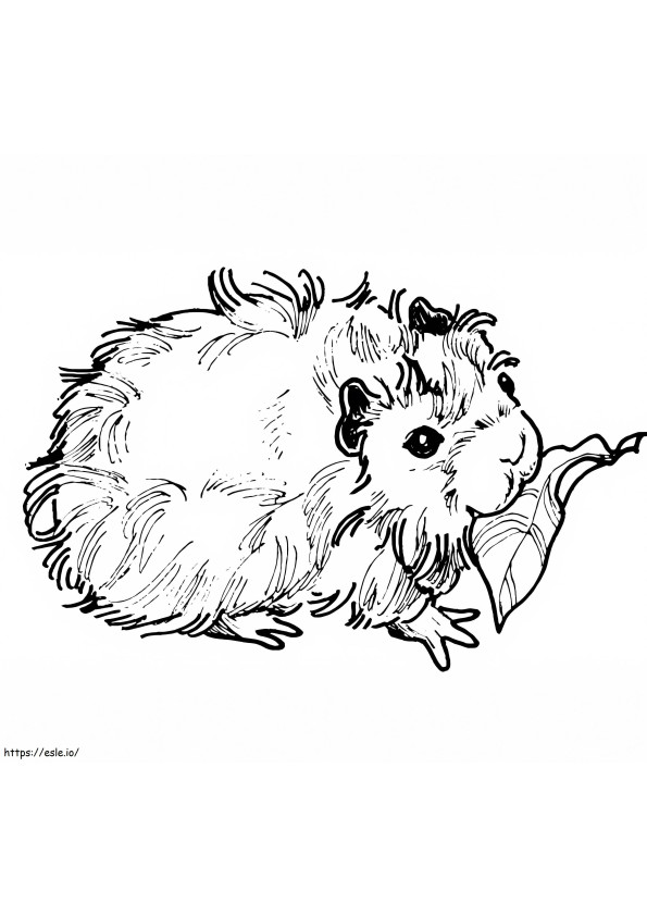 Coloriage Cochon d'Inde et feuille à imprimer dessin