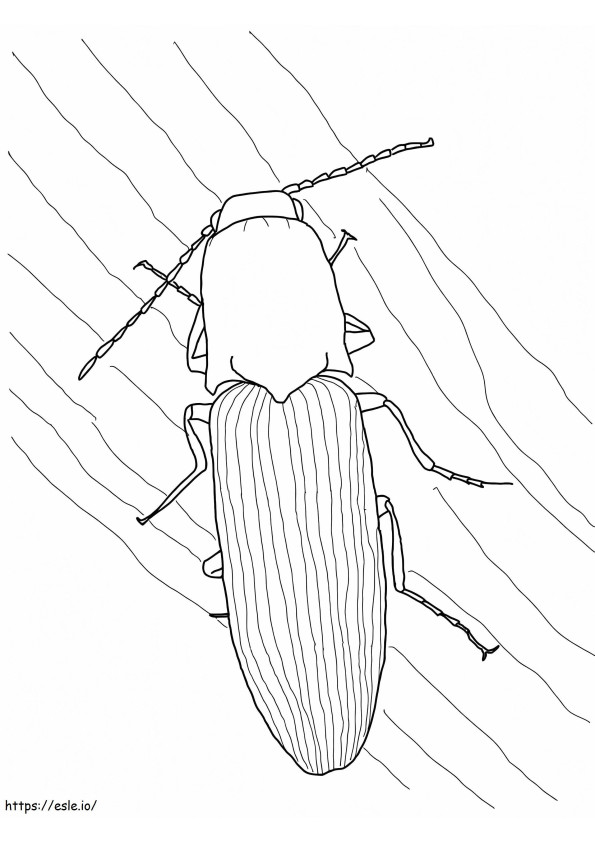 Coloriage Cliquez sur Beetle à imprimer dessin