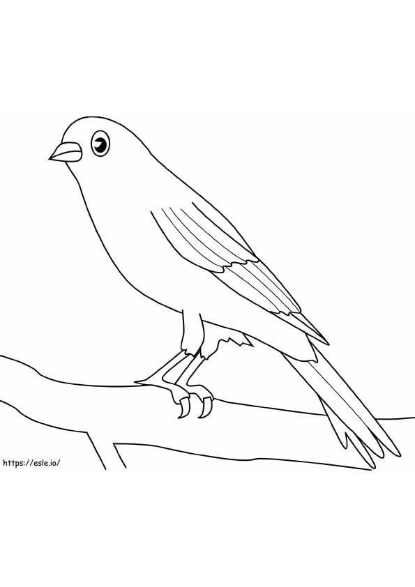 Oszałamiający ptak kanarek kolorowanka