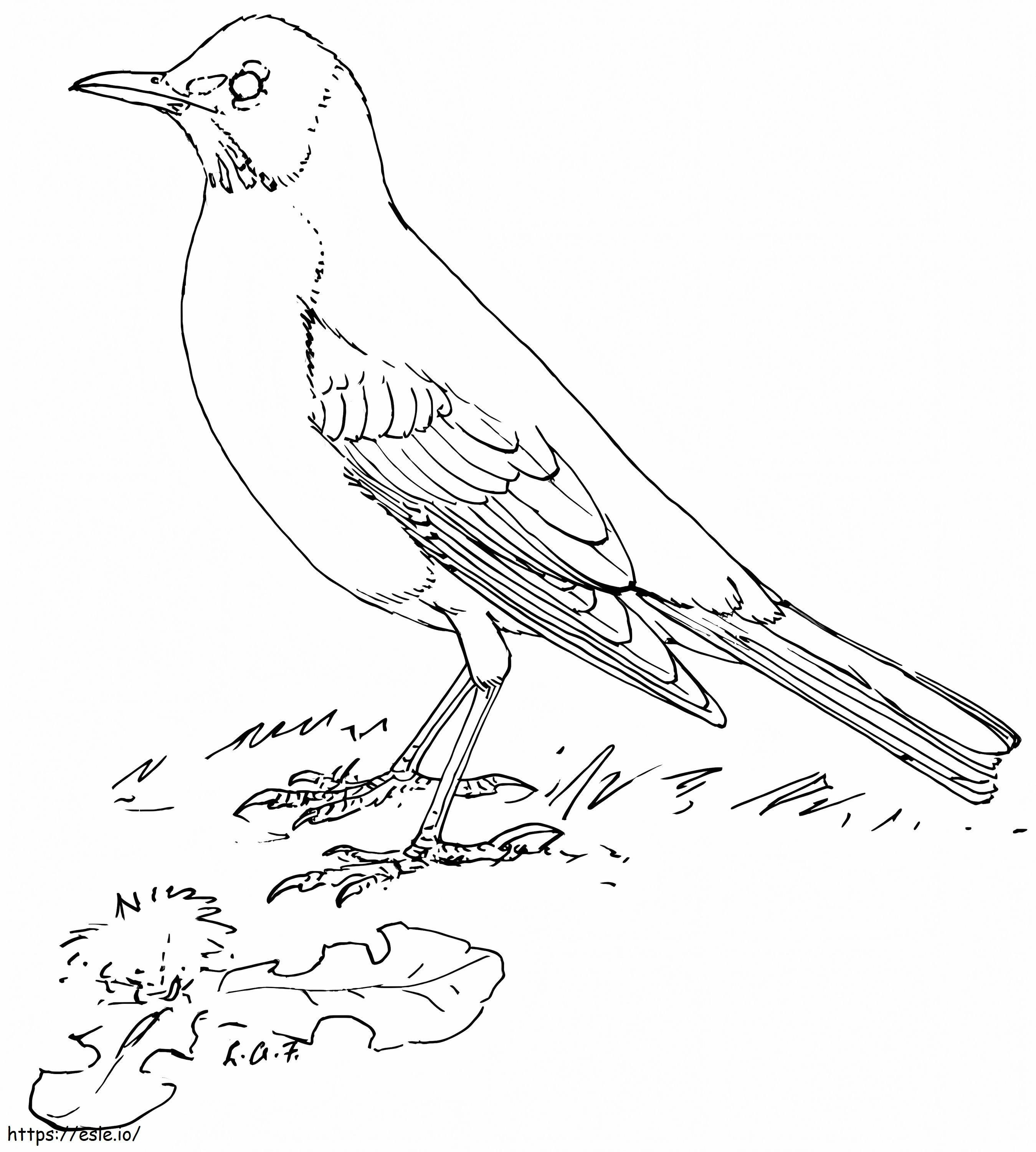 Coloriage Corbeau normal à imprimer dessin