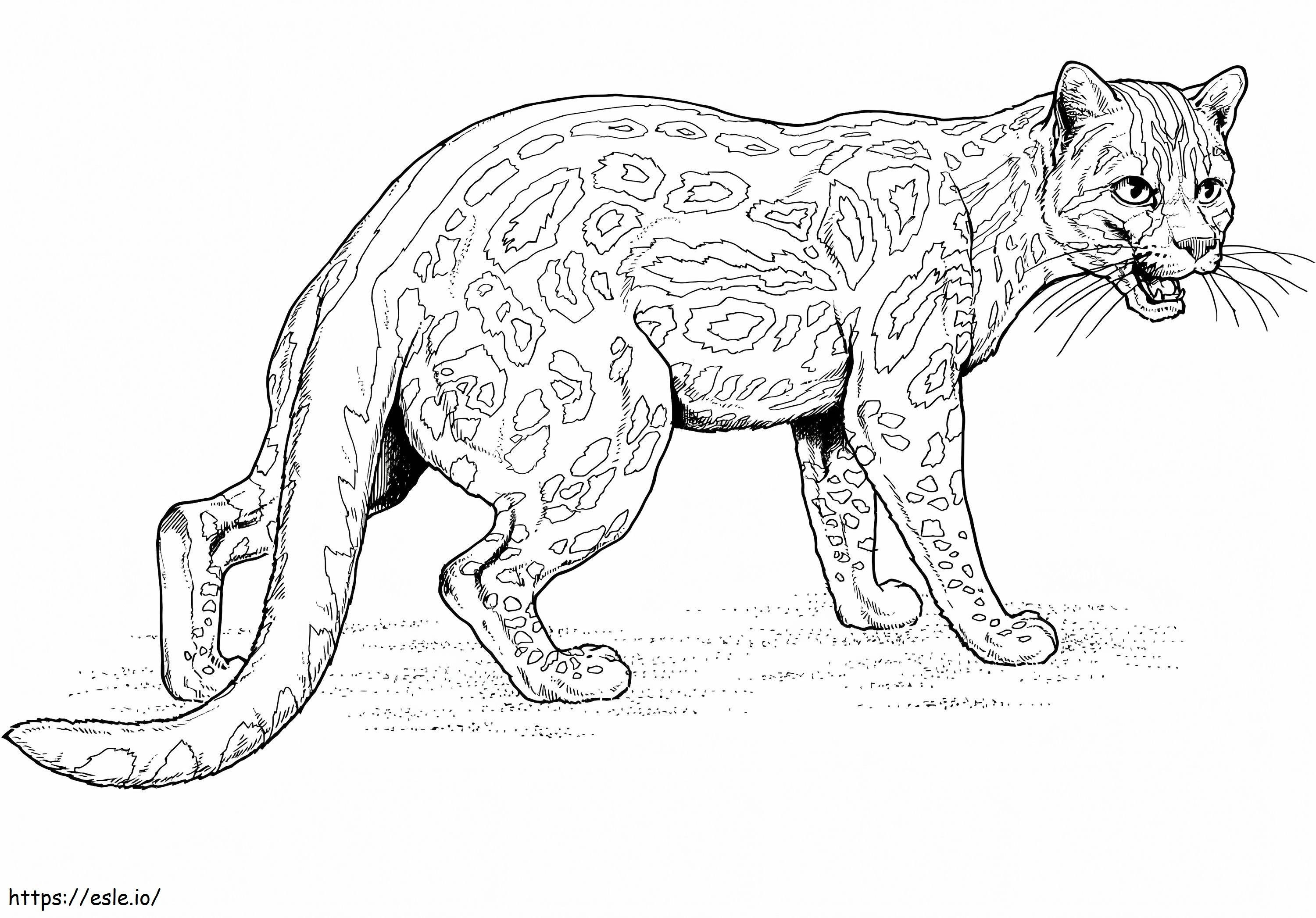 Angry Ocelot coloring page