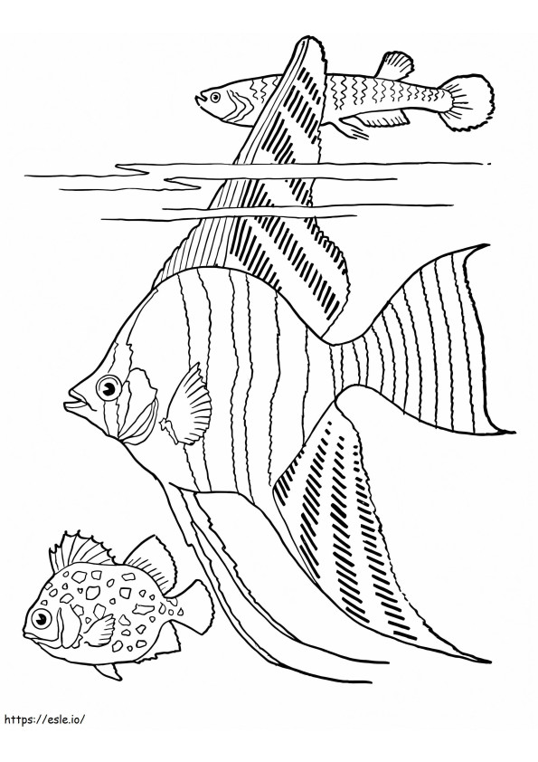普通の魚3匹 ぬりえ - 塗り絵