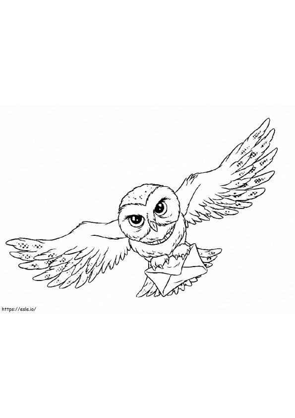 Harry Potters Pöllö värityskuva