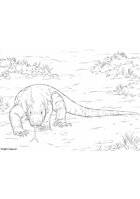 Komodo Dragon On Ground coloring page