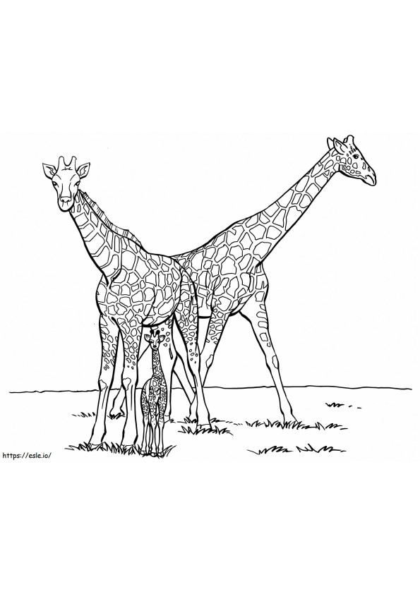 Girafa Família para colorir