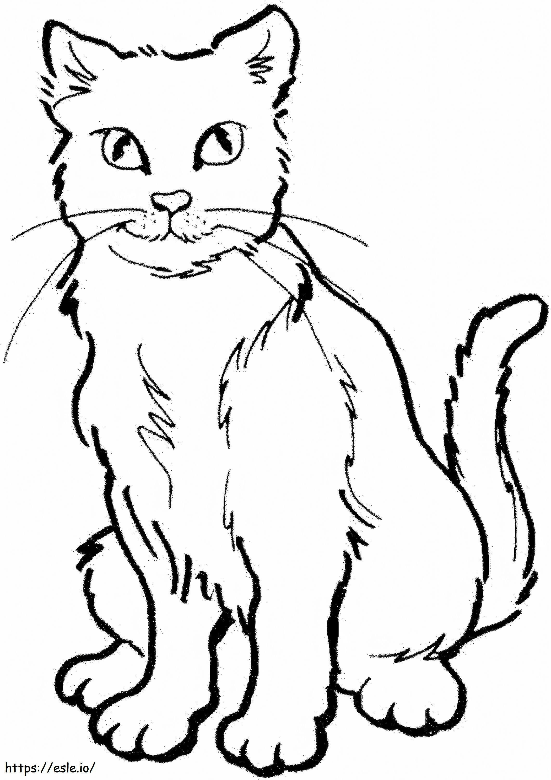 Krijger kat tekening kleurplaat kleurplaat