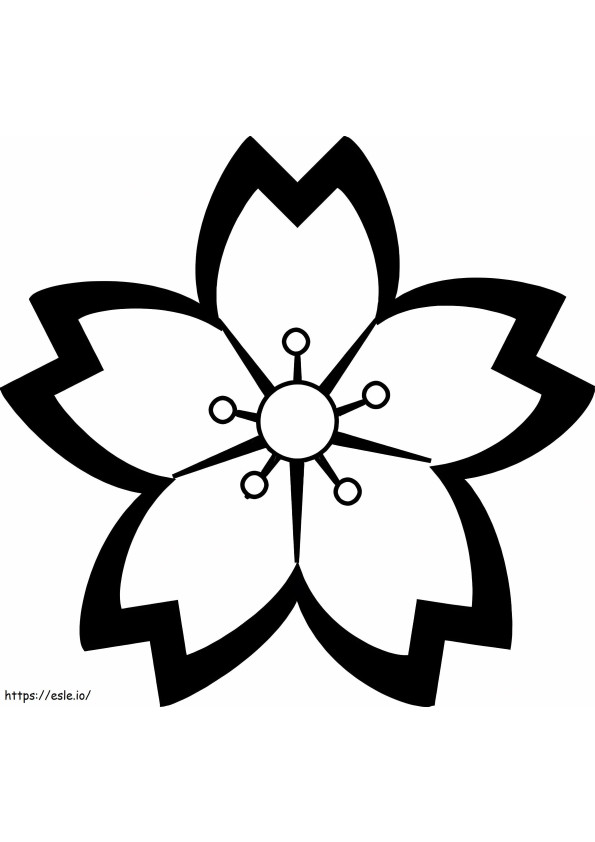 Logo del fiore di ciliegio da colorare