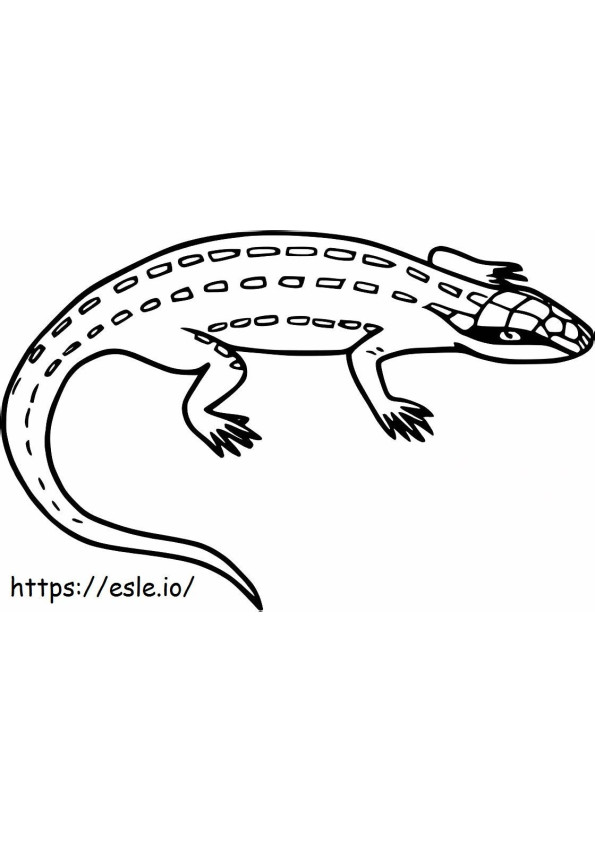 Leopard Lizard coloring page