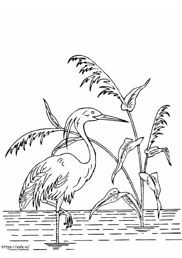 Haubenreiher