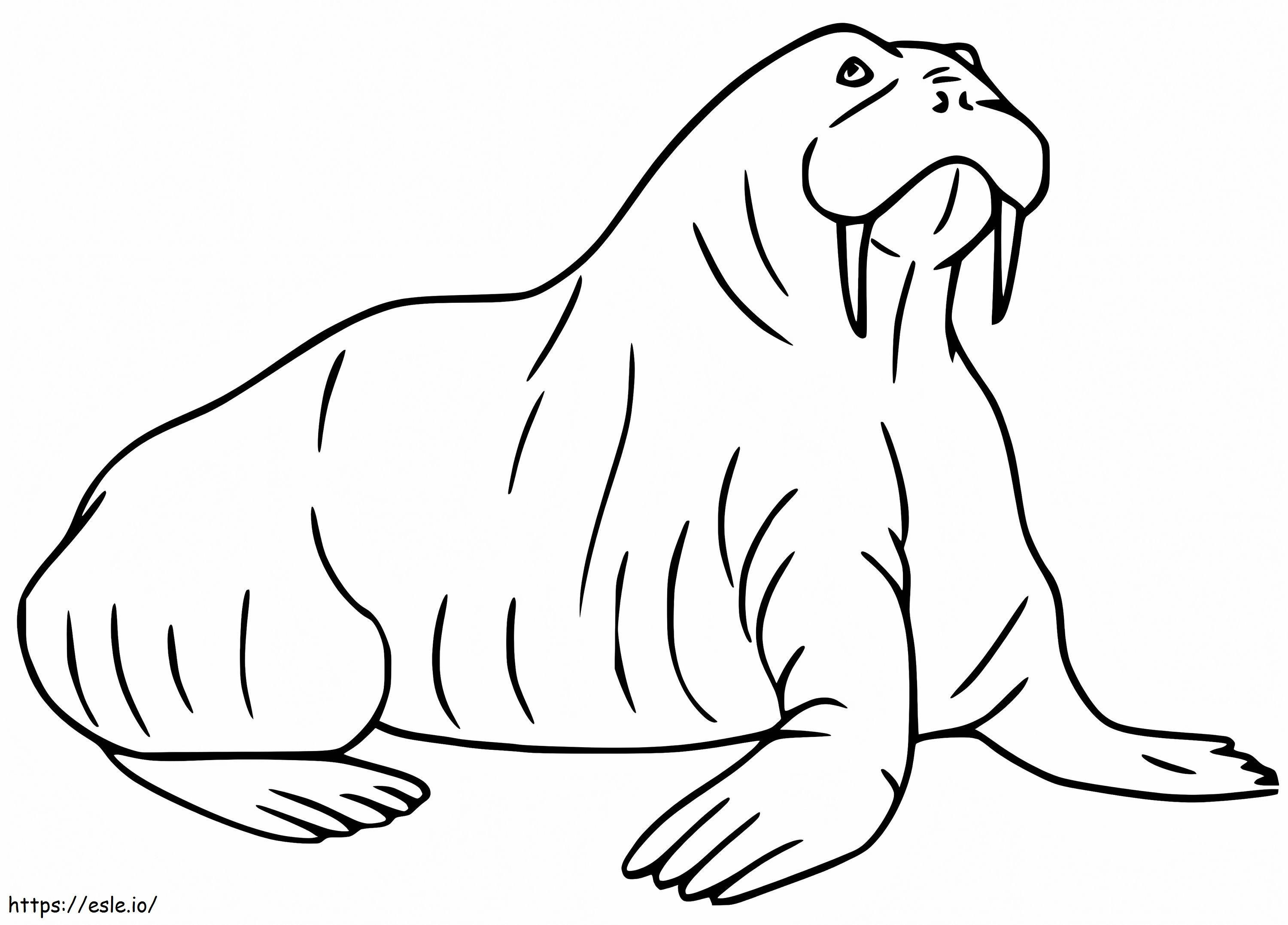 Walrussen 15 kleurplaat kleurplaat
