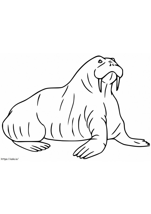 Walrus 15 coloring page