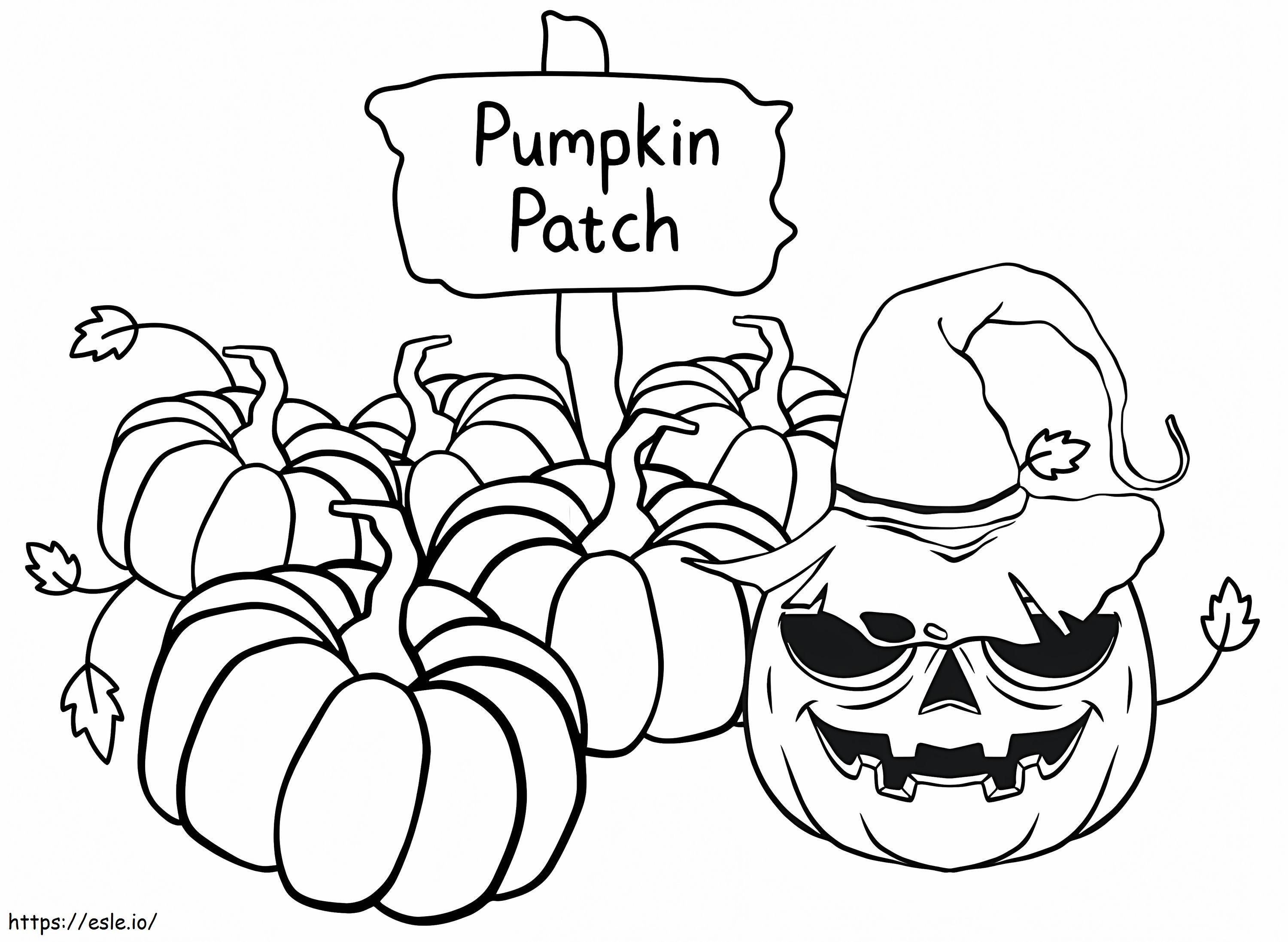 Pumpkin Patch 2 värityskuva