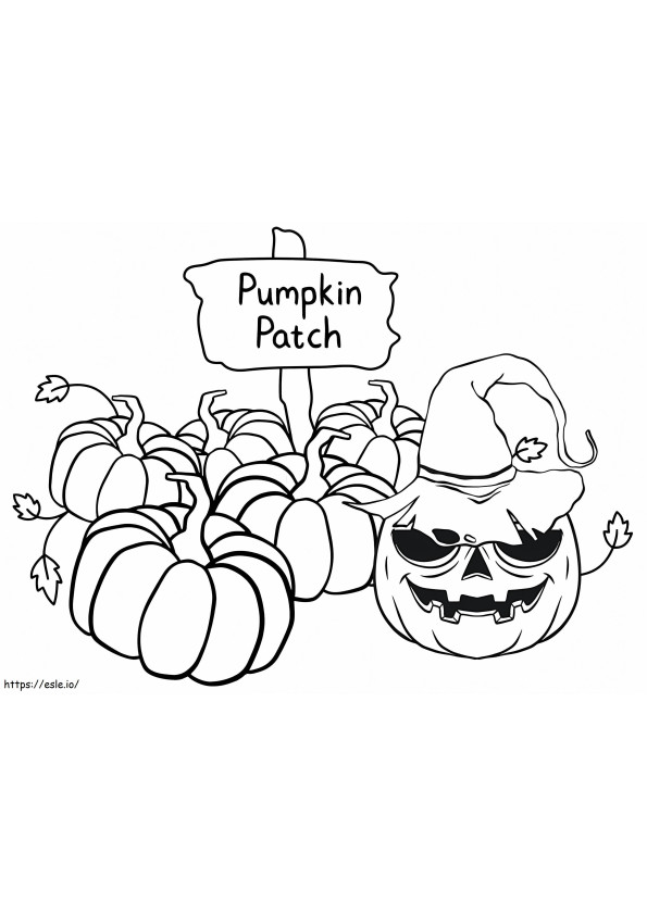 Pumpkin Patch 2 coloring page
