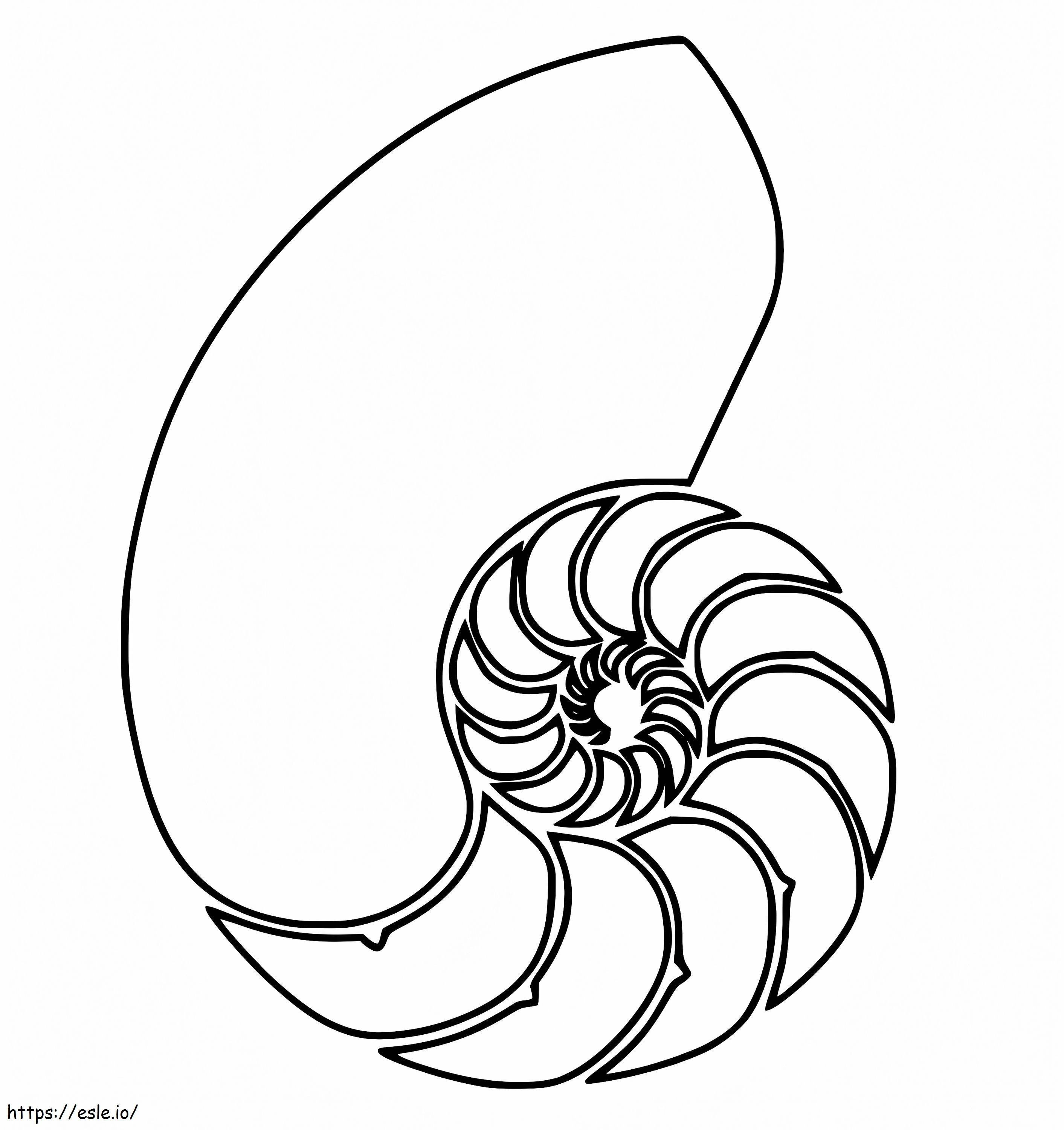 Concha Nautilus fácil para colorir