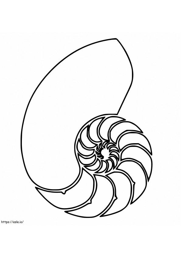 Concha de Nautilus fácil para colorear