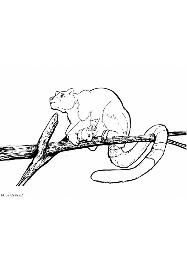 Mother And Baby Tree Kangaroo coloring page