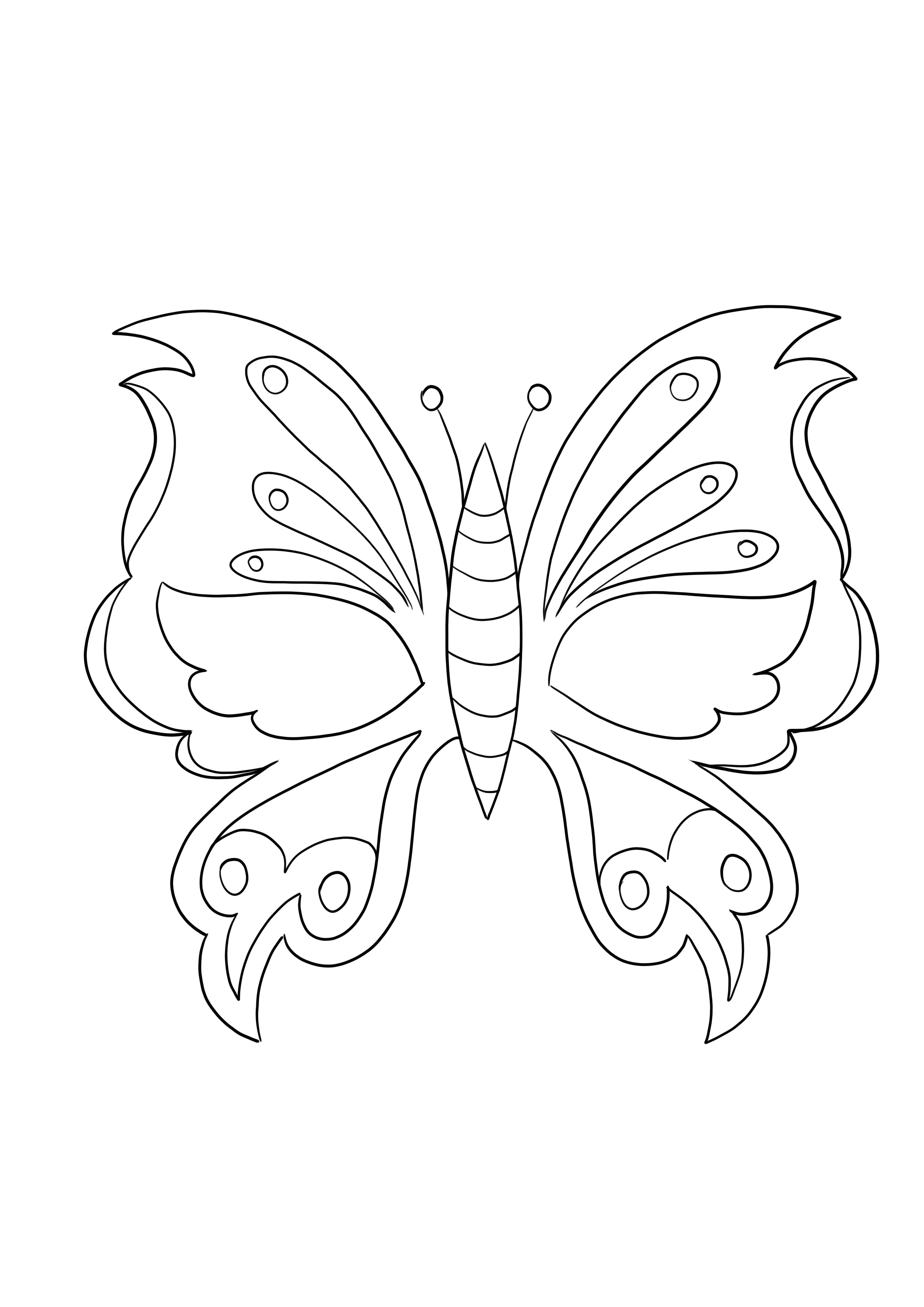 Beautiful Butterfly print free and coloring