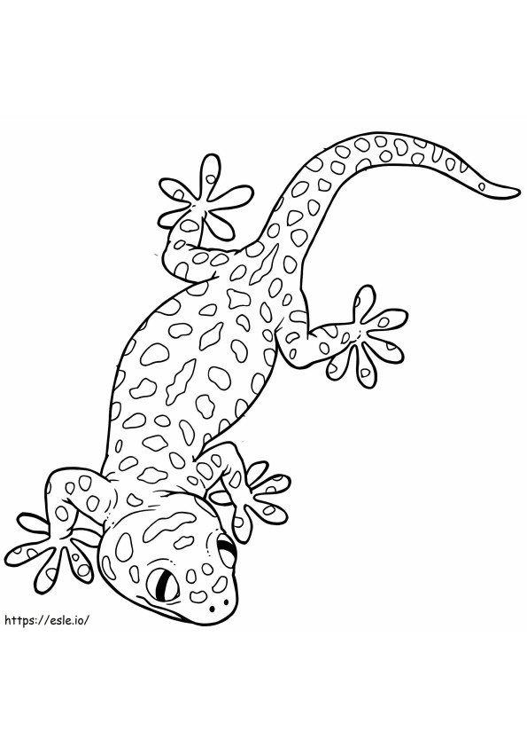 Coloriage Gecko de base à imprimer dessin