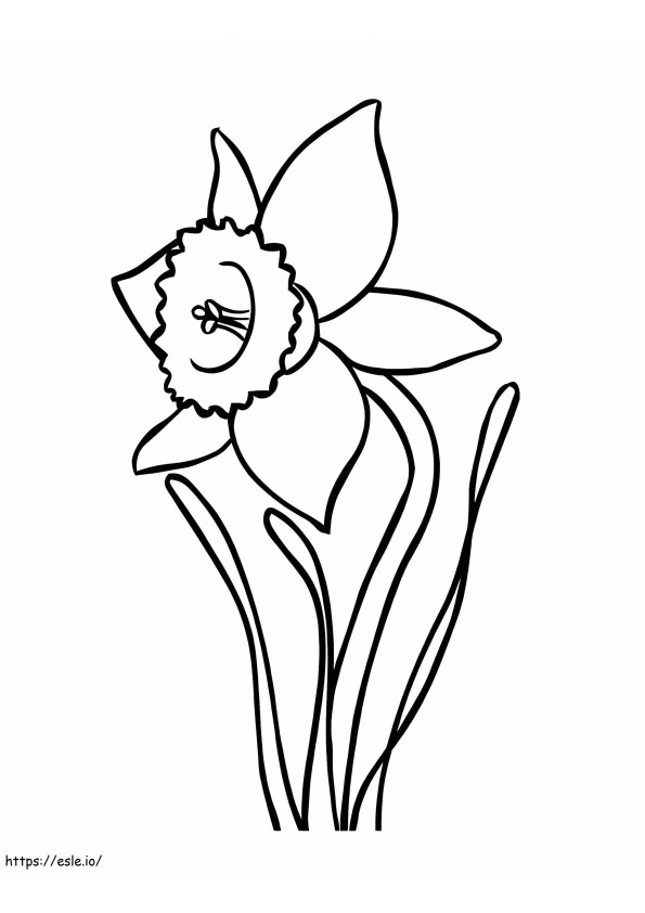 Normal Daffodils coloring page