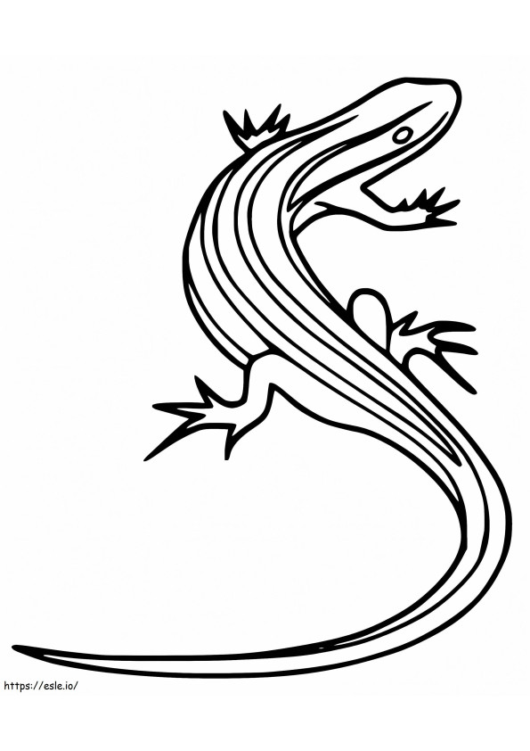 Simple Skink coloring page