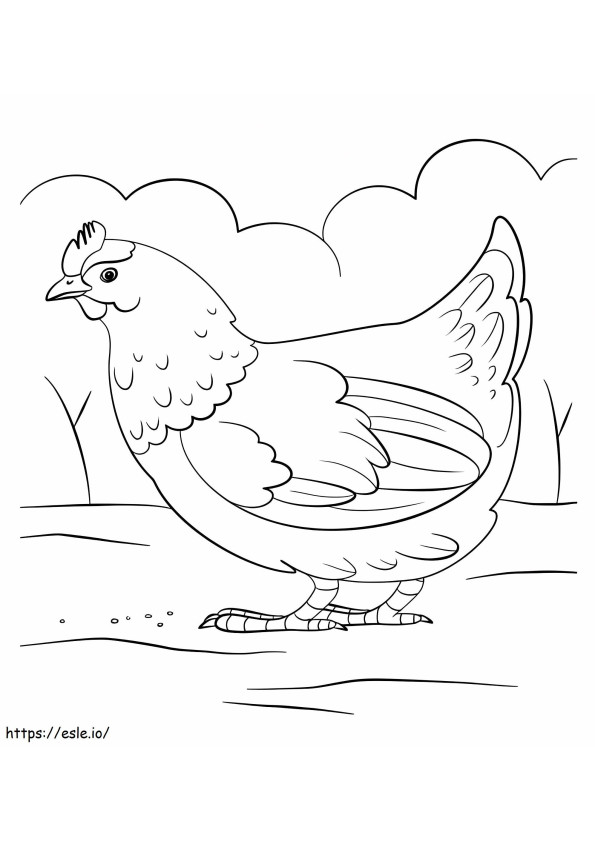 1560326822 Hen A4 coloring page